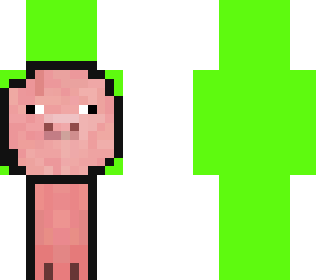 pig dream
