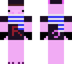 team rocket pig costume