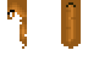 brown half ponytail~hair base