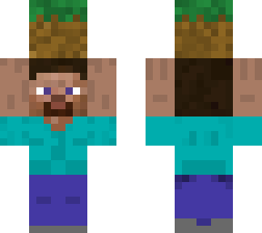 little stevey holding a grass block