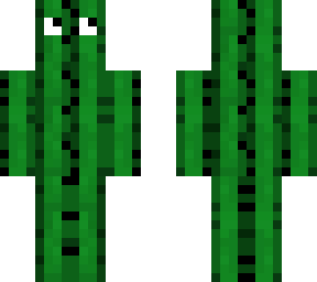 catus boy