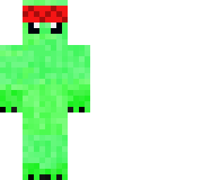 nippe turtle
