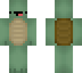 slightly smoother derp turtle