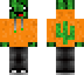 cactus with orange sweatshirt