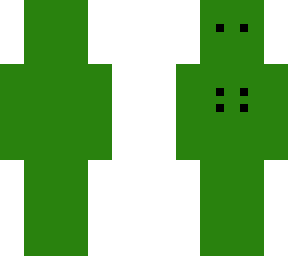 my own skin idk just a skin i came up with