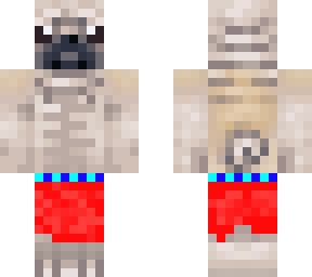 pugenshorts