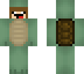 zaddychunkchunk turtle