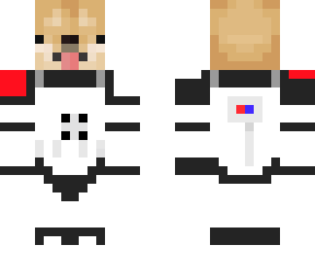 dogetrooper commander