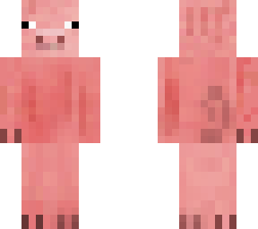 pig