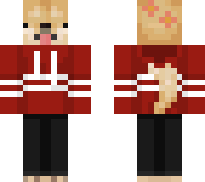 red hoodie doge with flowers