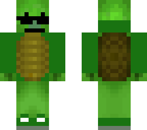cool turtle