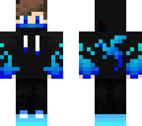 ice ninja