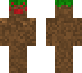 dirt spider v2