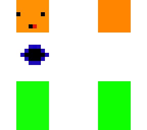 india flag