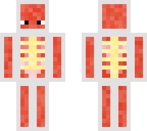simple anatomy (fixed) 7