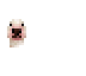 walter