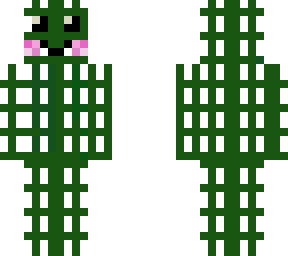 cactus dude