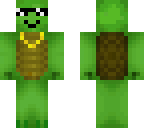 cool turtle