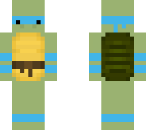 cyan turtle ninja
