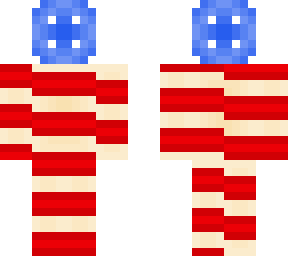 flag champion