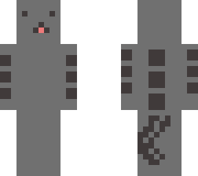 pushine cat