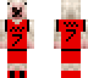 raptors walter