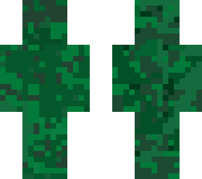 camo flash