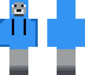 dog in a sweater