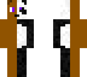 half panda, half grizzly
