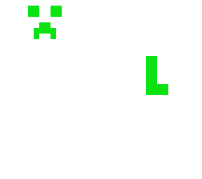 l skin