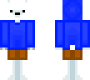polar hoodie