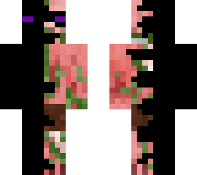ender pig