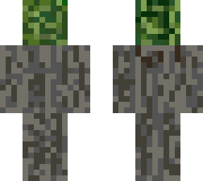 jonasdonut  acacia tree