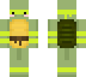 ninja turtle