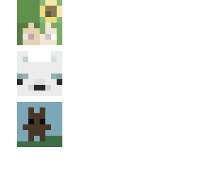 adoptables (desc.)