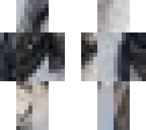 pug pixels