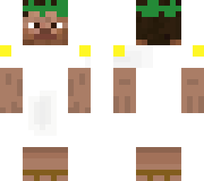 steveus minecraftus