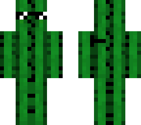 sun glasses cactus