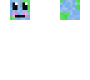 the earth