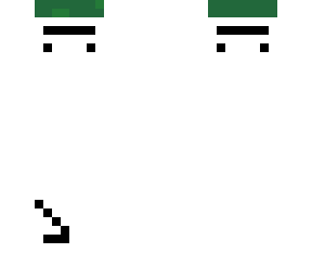turtle- helmet