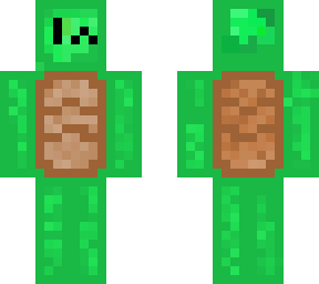 turtle