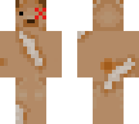 dead stuffed bear