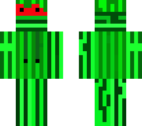 watermelon with hoodie