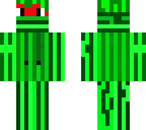 watermelon with hoodie revised