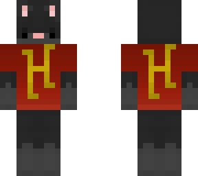 black cat with hypixel tee