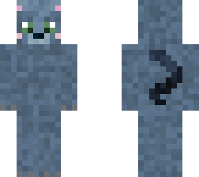 russian blue cat