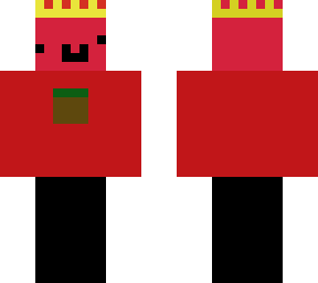 sebsteinrichter minecraft skin
