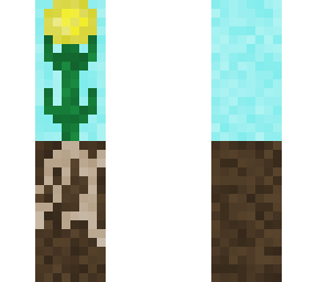 dandelion