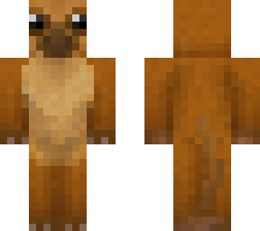 kinkajou