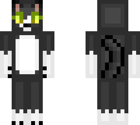 zelda - my cat